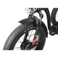 2020 New Model High Power Cargo E-Bike Electric Fat Tire Trike for Delivery